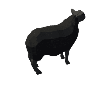 Sheep (1)